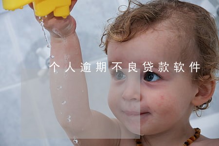 个人逾期不良贷款软件 个人逾期不良贷款软件