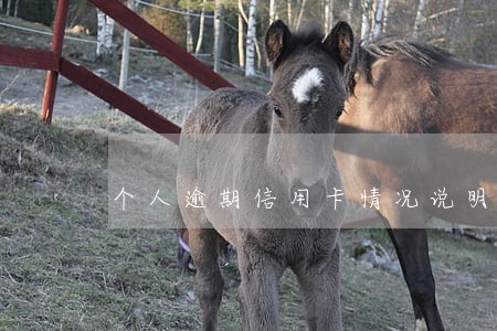 个人逾期信用卡情况说明书 个人逾期信用卡情况说明书
