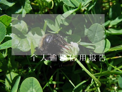 个人逾期信用报告 个人逾期信用报告
