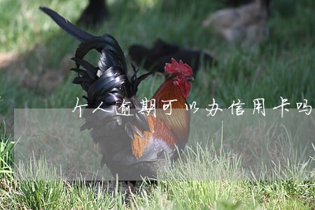 个人逾期可以办信用卡吗 个人逾期可以办信用卡吗