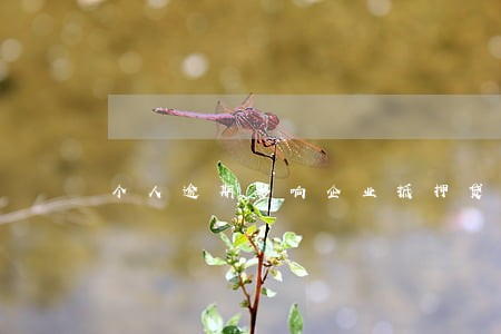 个人逾期影响企业抵押贷款吗 个人逾期影响企业抵押贷款吗