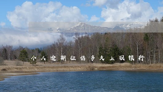 个人逾期征信多久上报银行 个人逾期征信多久上报银行