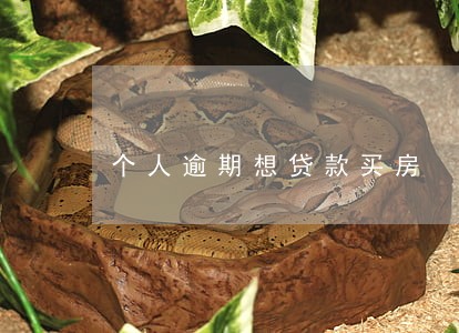 个人逾期想贷款买房 个人逾期想贷款买房