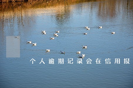 个人逾期记录会在信用报告 个人逾期记录会在信用报告