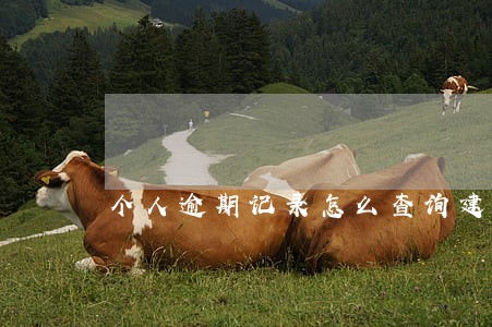 个人逾期记录怎么查询建设银行 个人逾期记录怎么查询建设银行