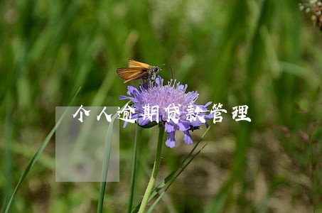 个人逾期贷款管理
