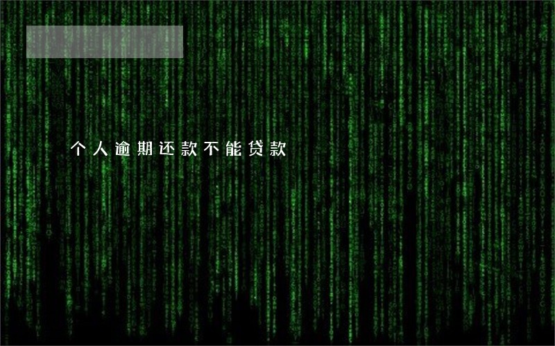 个人逾期还款不能贷款 个人逾期还款不能贷款