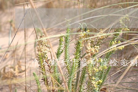 个人银行卡盗刷保险逾期 个人银行卡盗刷保险逾期