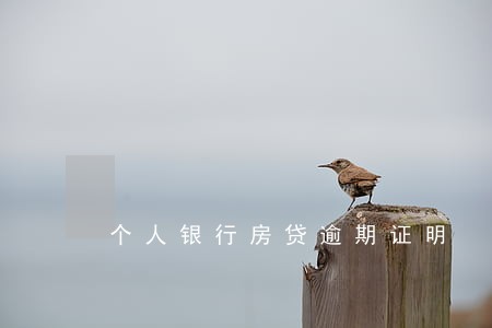 个人银行房贷逾期证明 个人银行房贷逾期证明