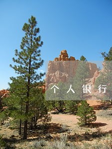 个人银行承兑汇票逾期证明 个人银行承兑汇票逾期证明