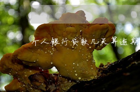 个人银行贷款几天算逾期