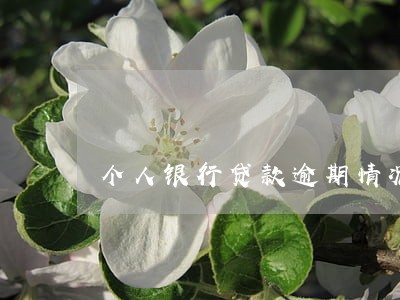 个人银行贷款逾期情况说明 个人银行贷款逾期情况说明