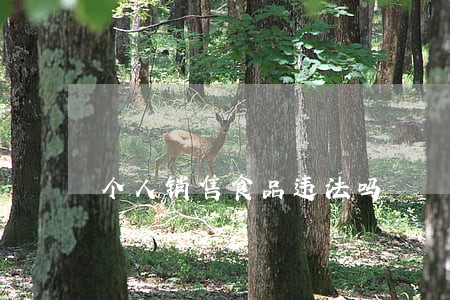 个人销售食品违法吗