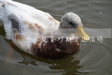 个人集资炒期货违法吗 个人集资炒期货违法吗