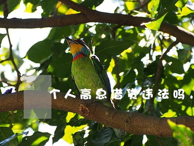 个人高息借贷违法吗