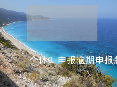 个体0申报逾期申报怎么补救 个体0申报逾期申报怎么补救