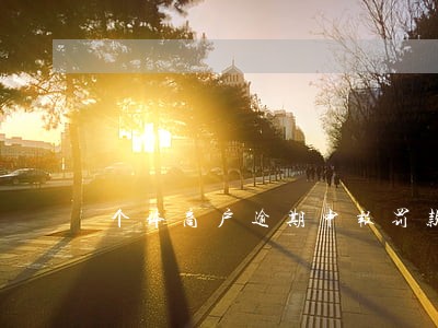 个体商户逾期申报罚款20元 个体商户逾期申报罚款20元