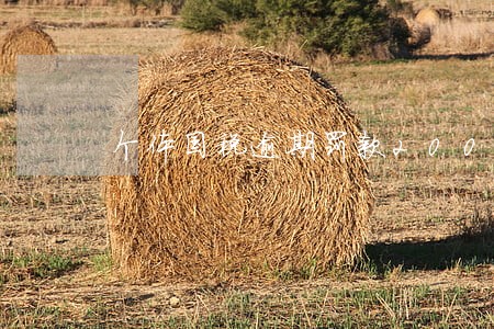 个体国税逾期罚款2000 个体国税逾期罚款2000