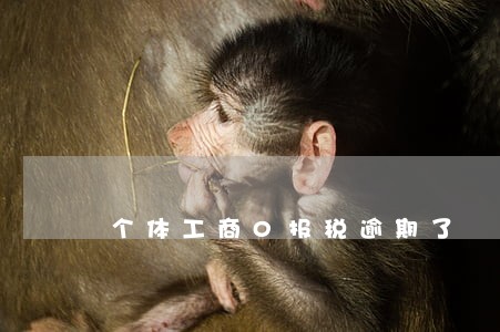 个体工商0报税逾期了 个体工商0报税逾期了