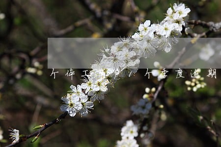 个体工商户1个季度逾期未申报 个体工商户1个季度逾期未申报