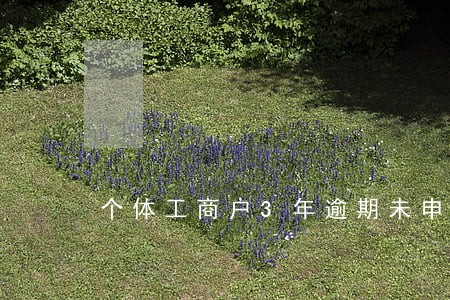 个体工商户3年逾期未申报 个体工商户3年逾期未申报
