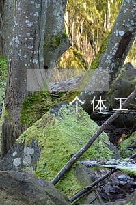 个体工商户是不是法律关系的主体 个体工商户是不是法律关系的主体