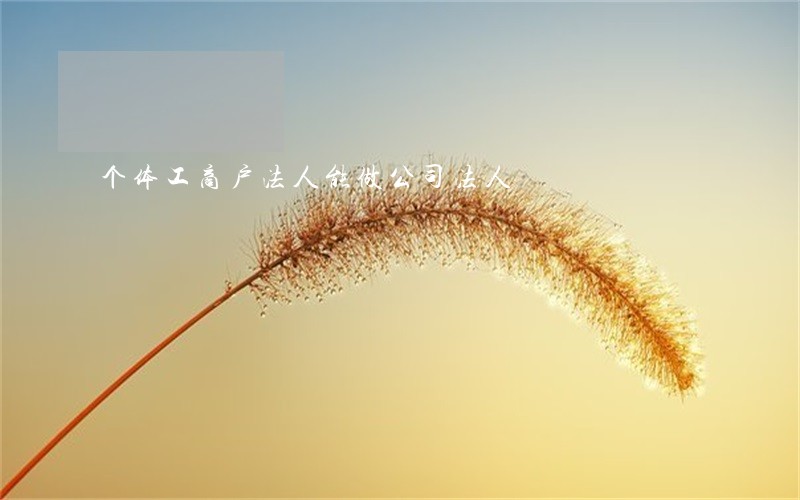 个体工商户法人能做公司法人