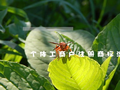 个体工商户注册商标流程及费用 个体工商户注册商标流程及费用
