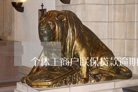 个体工商户联保贷款逾期 个体工商户联保贷款逾期
