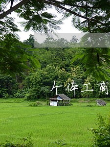 个体工商户逾期7个月 个体工商户逾期7个月