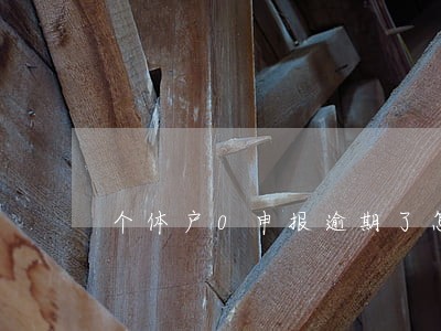 个体户0申报逾期了怎么处理 个体户0申报逾期了怎么处理