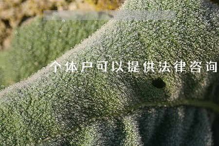 个体户可以提供法律咨询 个体户可以提供法律咨询