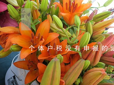 个体户税没有申报的法律条文 个体户税没有申报的法律条文