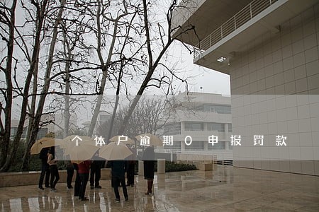 个体户逾期0申报罚款 个体户逾期0申报罚款