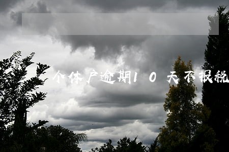 个体户逾期10天不报税 个体户逾期10天不报税
