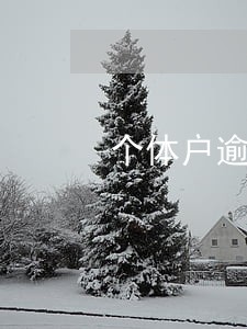 个体户逾期10天报税 个体户逾期10天报税