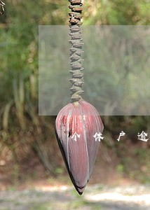 个体户逾期180天未申报 个体户逾期180天未申报