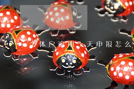 个体户逾期5天申报怎么办 个体户逾期5天申报怎么办