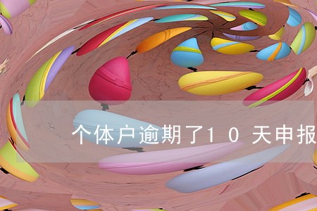 个体户逾期了10天申报 个体户逾期了10天申报