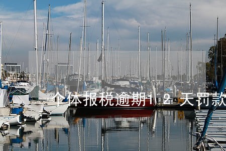 个体报税逾期12天罚款吗 个体报税逾期12天罚款吗