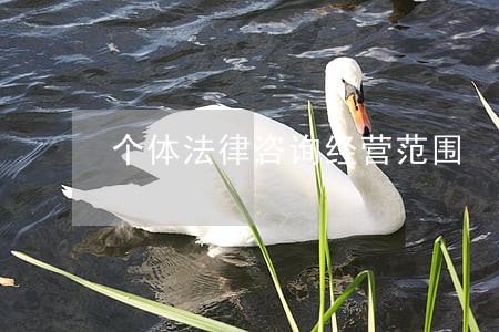 个体法律咨询经营范围 个体法律咨询经营范围
