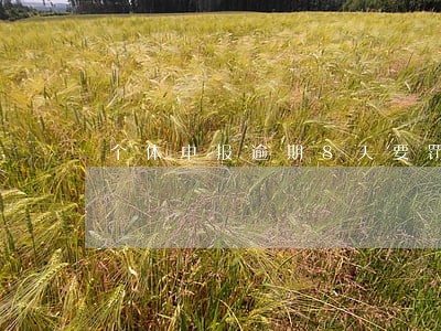个体申报逾期8天要罚款吗 个体申报逾期8天要罚款吗