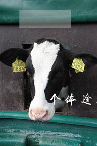 个体逾期2年报税罚款多少 个体逾期2年报税罚款多少