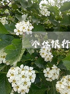 个体银行账号三方逾期 个体银行账号三方逾期
