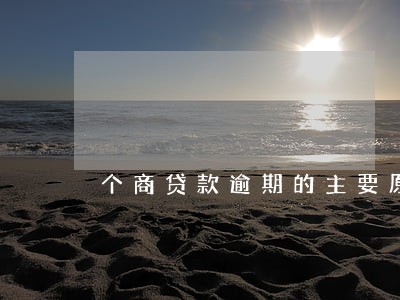 个商贷款逾期的主要原因 个商贷款逾期的主要原因