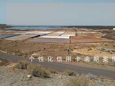 个性化信用卡逾期案例分享