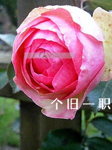 个旧一职中法律事务 个旧一职中法律事务