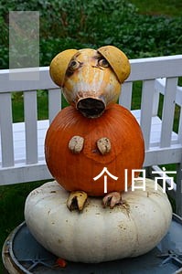 个旧市融资借款在线律师