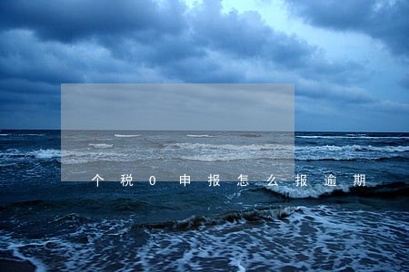 个税0申报怎么报逾期 个税0申报怎么报逾期