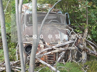 个税0申报逾期1天 个税0申报逾期1天